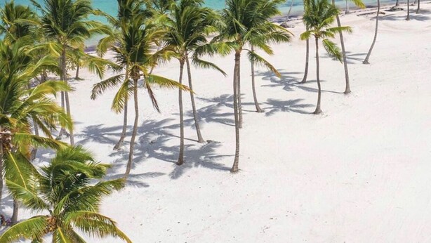 Une plage de sable blanc bordée de palmiers, qui s’étend jusqu’à une mer turquoise sous un ciel dégagé.