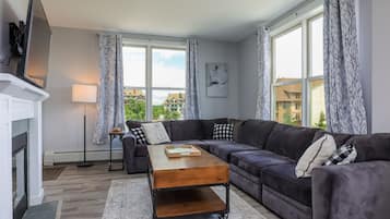 Smart TV, fireplace, books