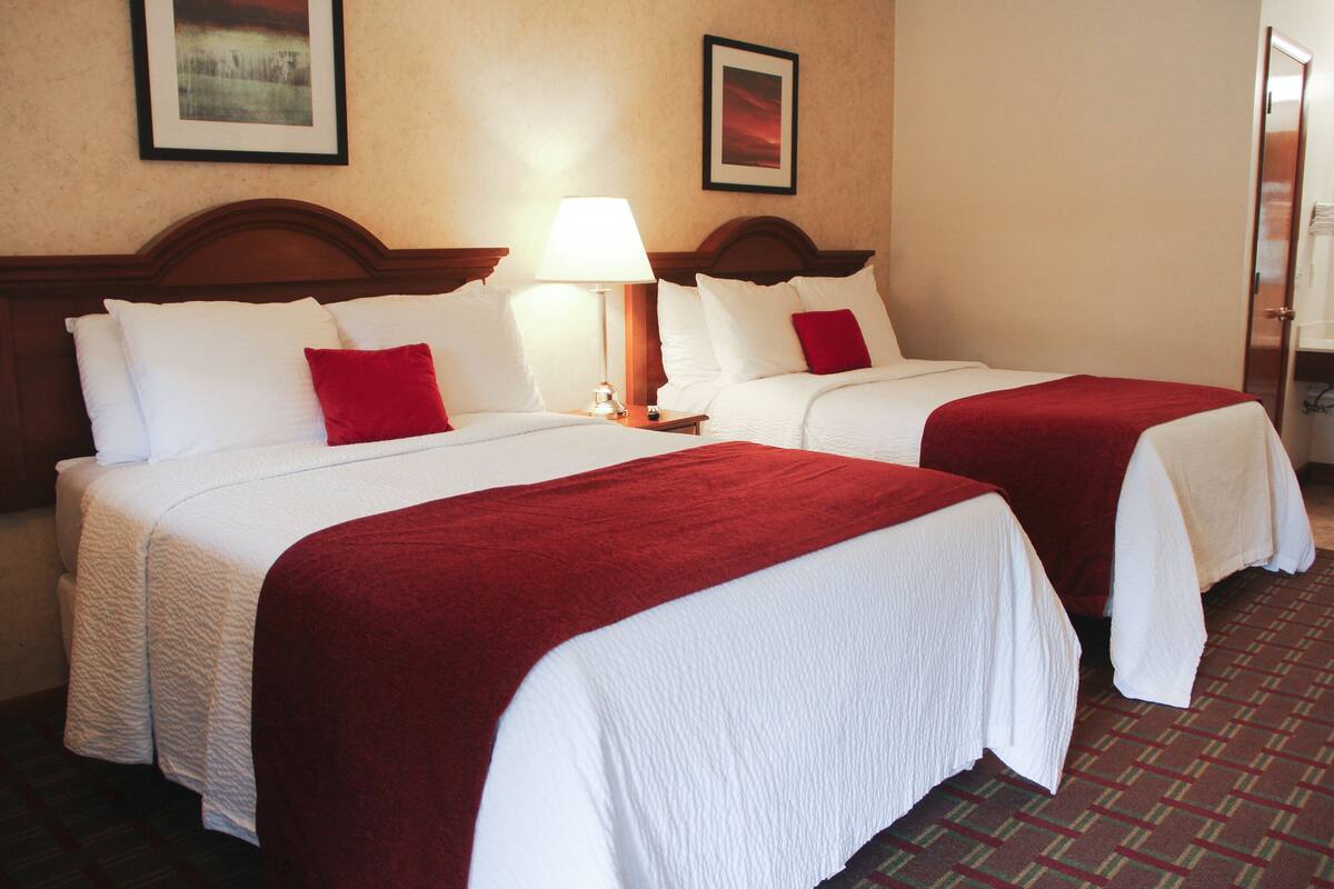Quarto de hotel com duas camas, cada uma com roupa de cama branca e almofadas vermelhas. Há uma mesa de cabeceira com uma luminária entre as camas.