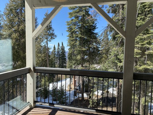 Yosemite's Pine Cove