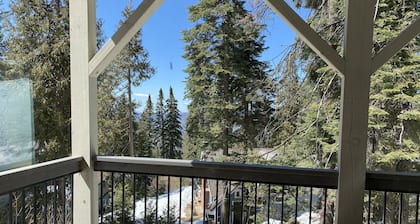 Yosemite's Pine Cove