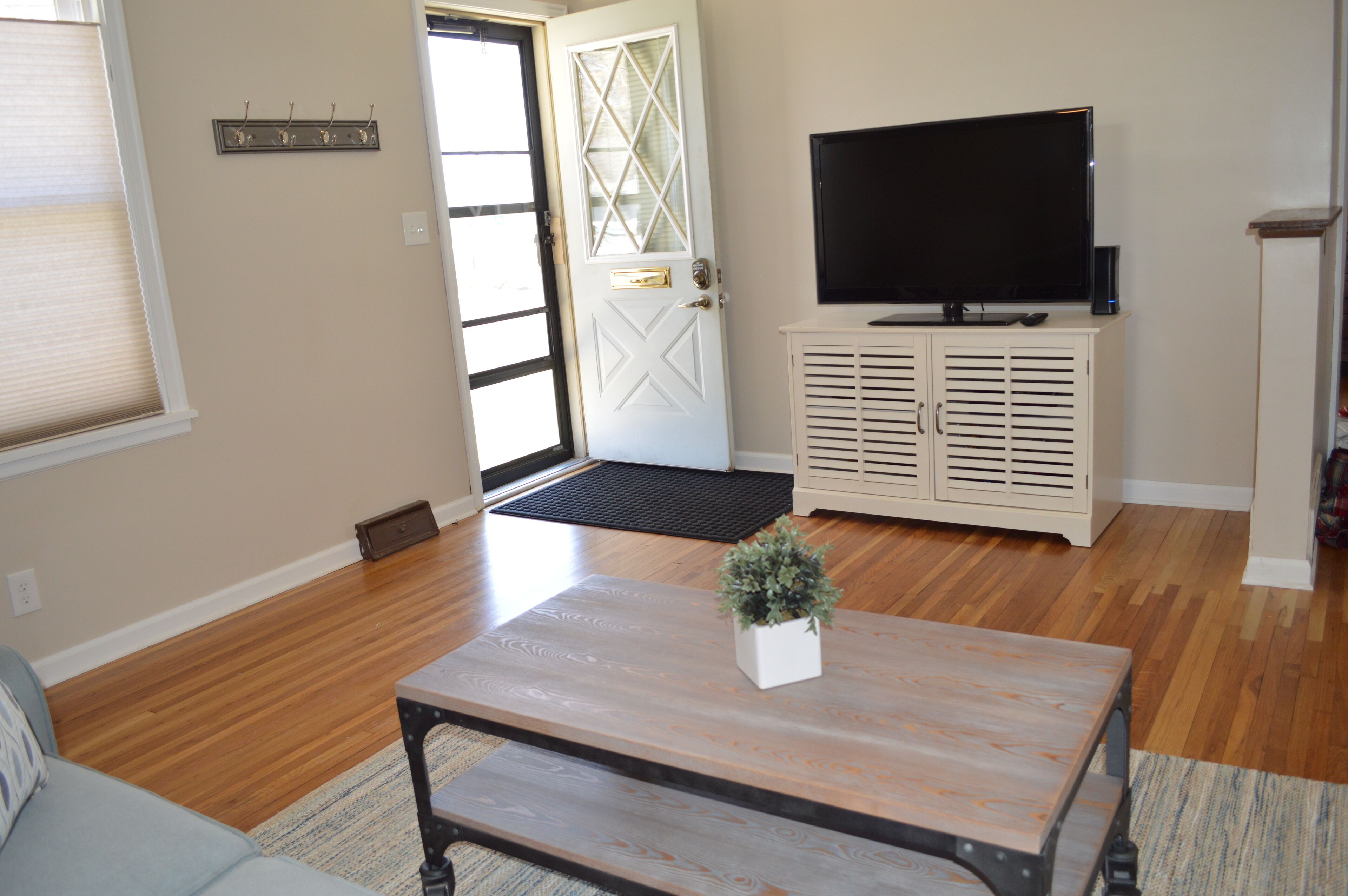 TV, fireplace, DVD player, books