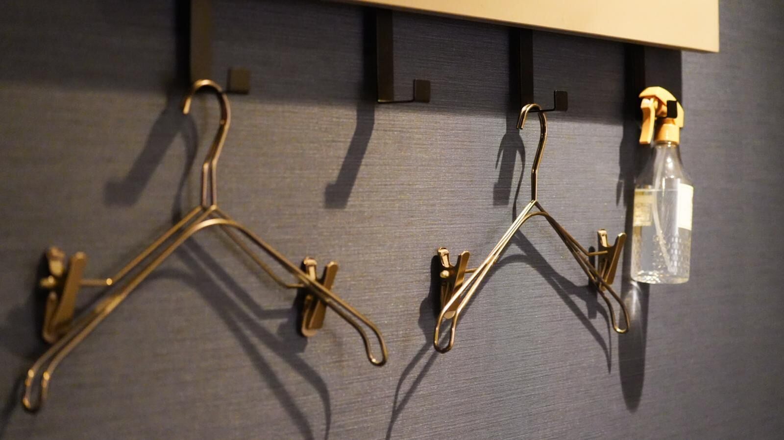 A wall-mounted coat rack with two hooks and a spray bottle.