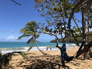 بالقرب من الشاطئ