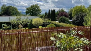A bamboo fence with a view of a landscaped garden and trees.