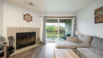TV, fireplace, DVD player, books