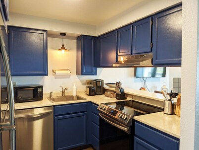 Aurora 1 Bedroom Oceanfront Condo - Pet Friendly