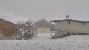 Un quartier résidentiel enneigé, avec des maisons et un buisson recouvert de neige.