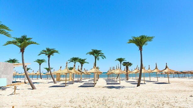 A beach with palm trees and thatched umbrellas. - Santorini Apartament (Navodari)