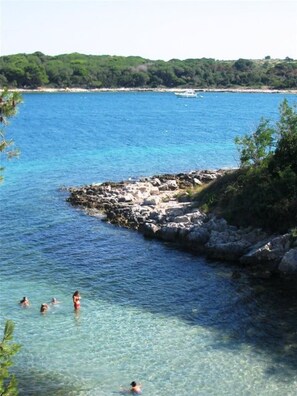 Un paysage côtier avec une eau bleue et limpide, une côte rocheuse et une végétation luxuriante.