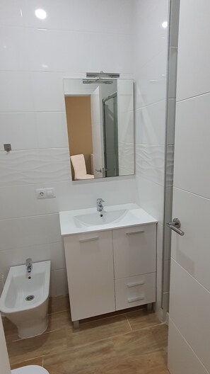 Shower, hair dryer, bidet, towels
