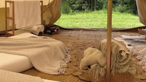 A tent interior with a view of a grassy area and trees.