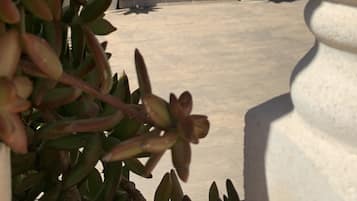 Detalle del exterior