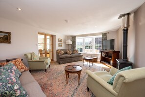 TV connectée, cheminée, lecteur de DVD, livres