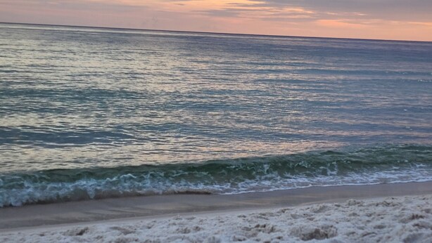 Una playa con olas y un ave en la arena.