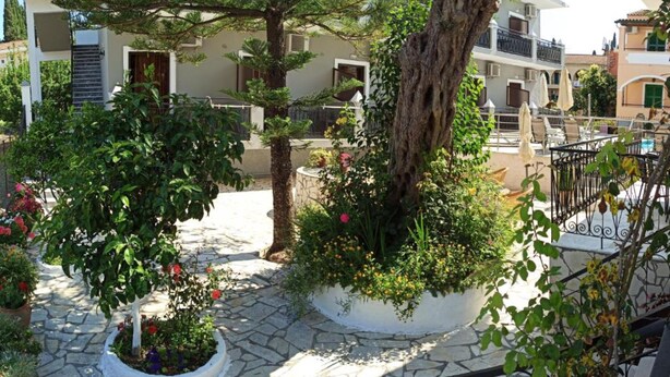 A courtyard with stone flooring, potted plants, and a large tree. - Dionisos Apartments (Corfu)