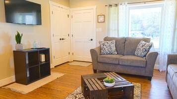 Smart TV, fireplace, books