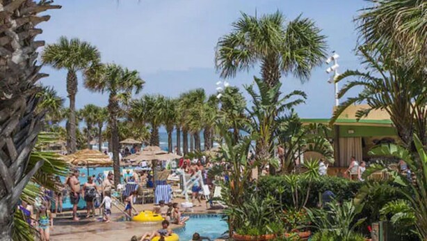Un espace piscine doté de plusieurs couloirs pour les activités aquatiques, entouré de palmiers et ombragé par de grands parasols.