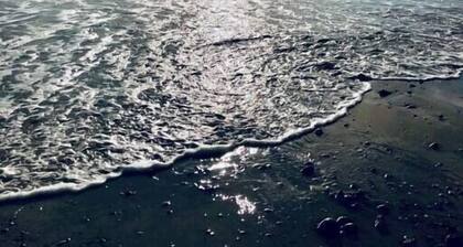 Mayflower*sleeps 5*near beach*firepit*outdoor shwr*grill