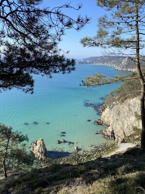 Nær stranden