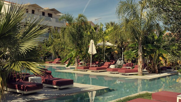 A pool area with red lounge chairs and a palm tree.
