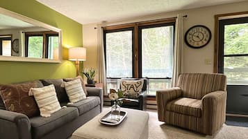 Una televisión, una chimenea