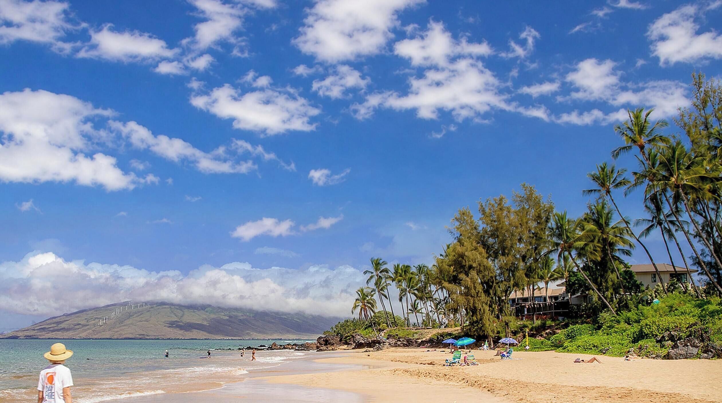 A beach with clear skies, palm trees, and a mountain in the background.
