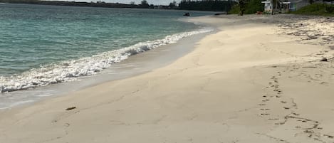 A beach with clear turquoise water, a sandy shore, and palm trees in the background.