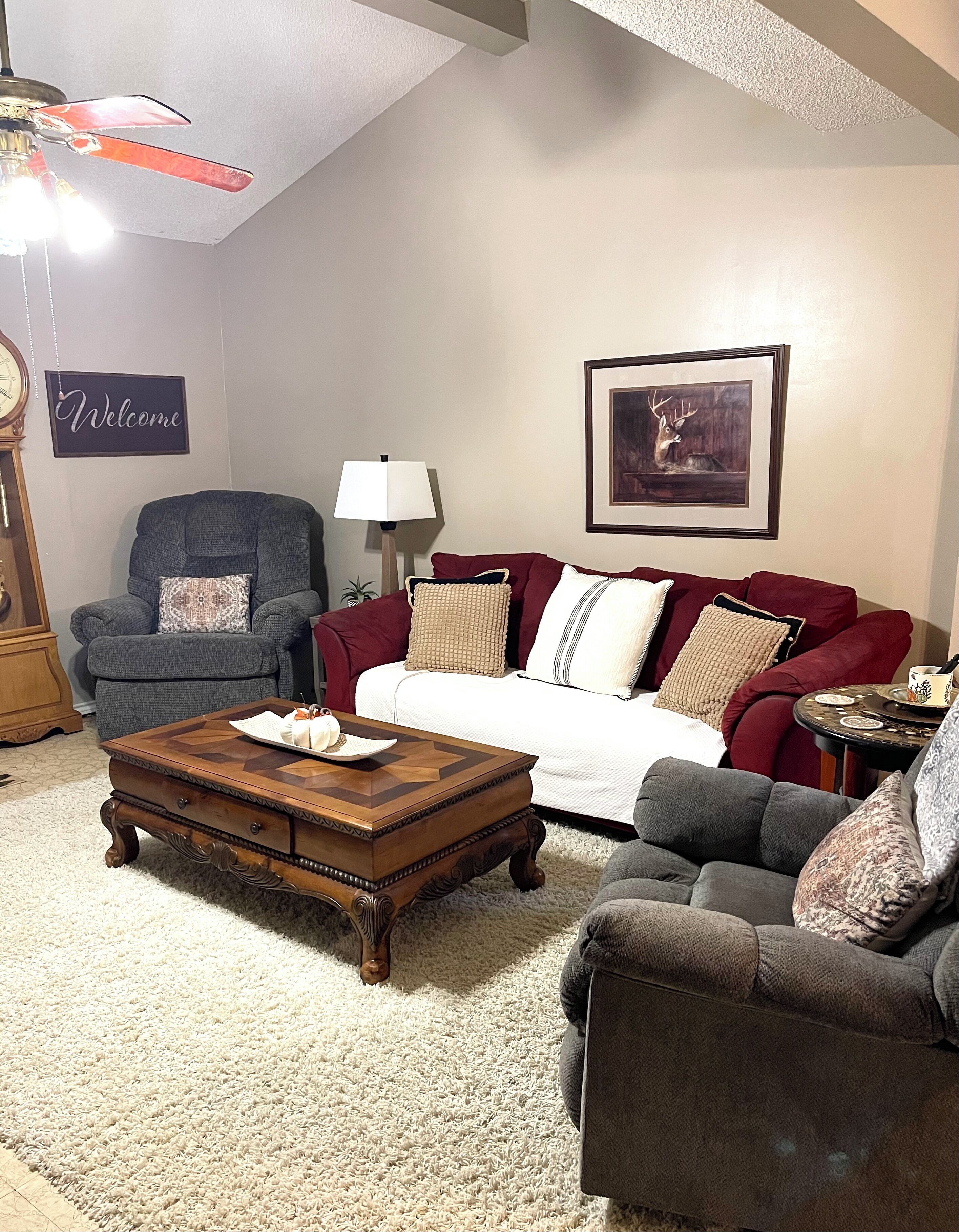 Älytelevisio, DVD-soitin