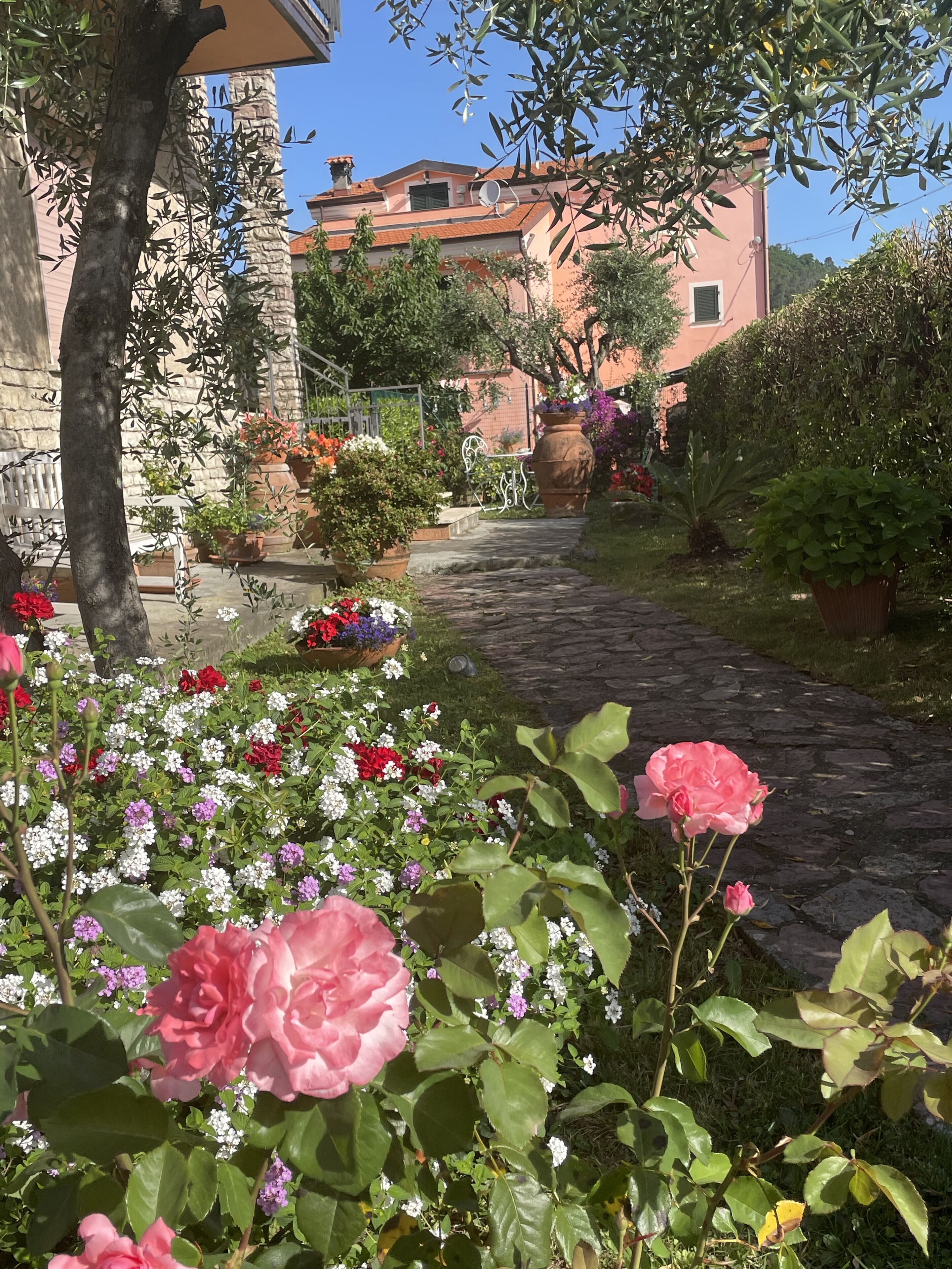 Parco della struttura