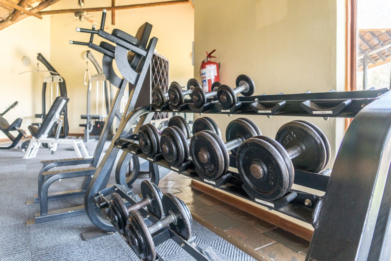 A gym with various weightlifting equipment, including dumbbells and a bench press.