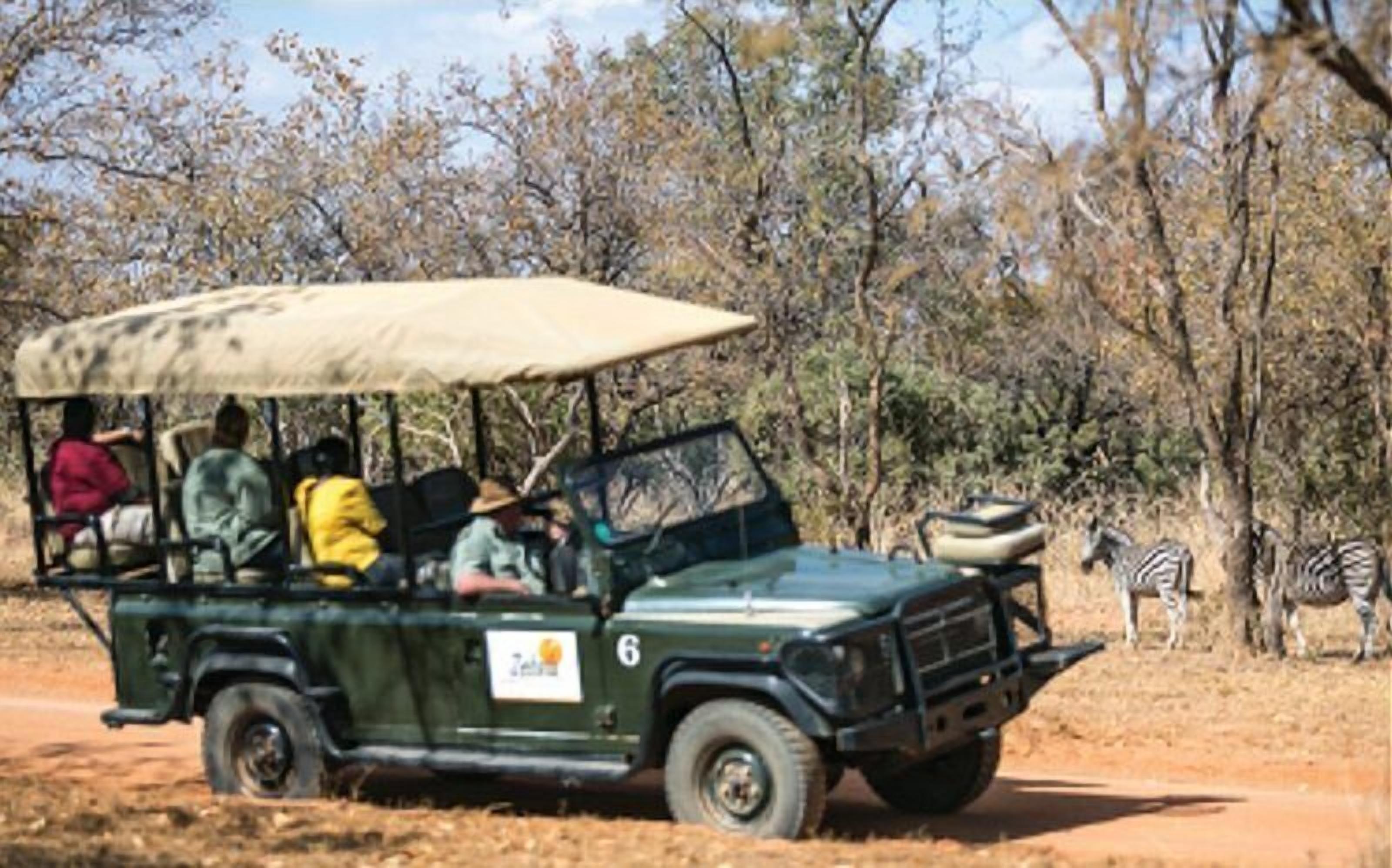A safari vehicle with a canopy, passengers, and a zebra in the background.