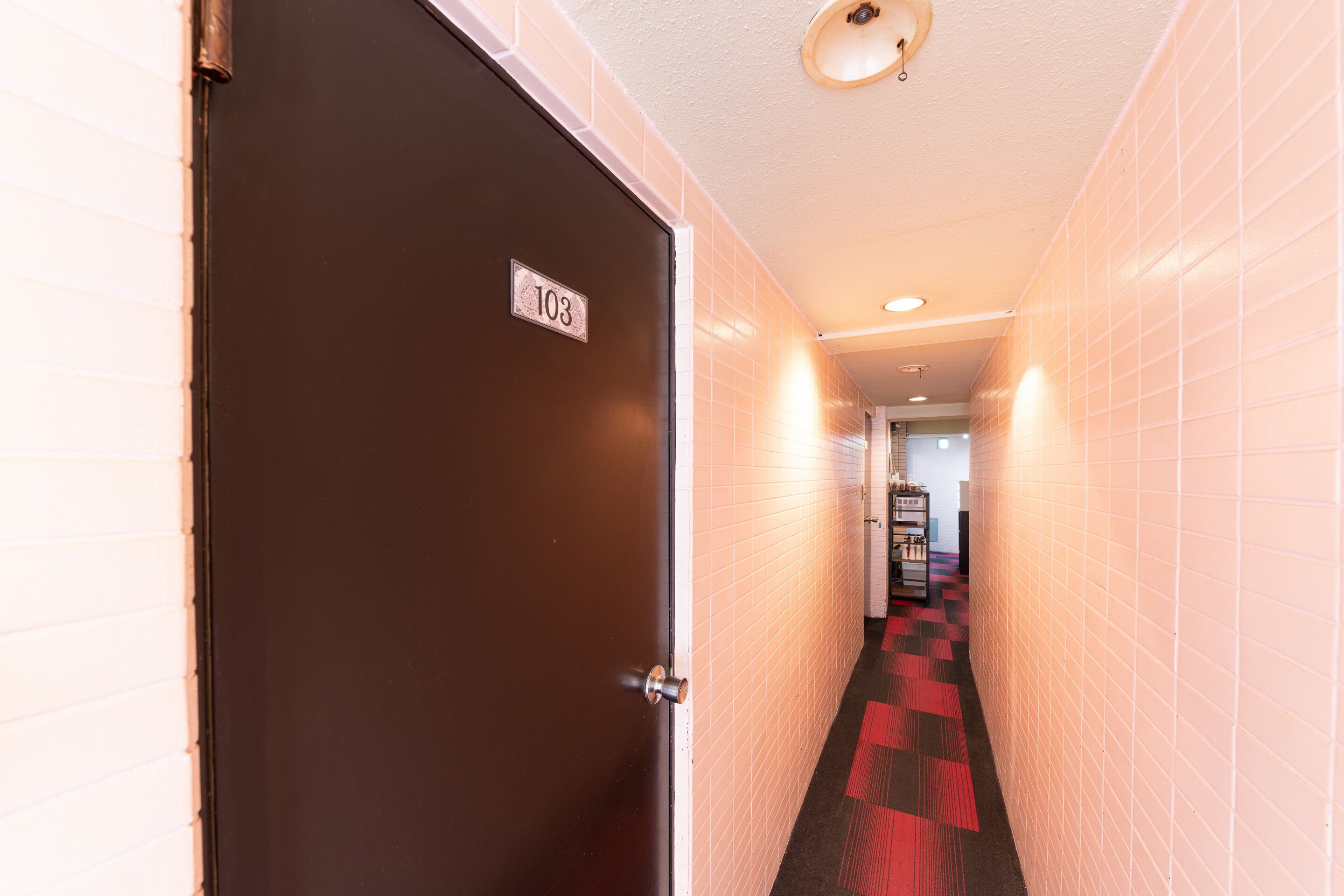 A hallway with a brown door labeled "103" and a checkered carpet.