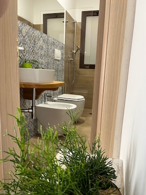 Shower, hair dryer, bidet, towels