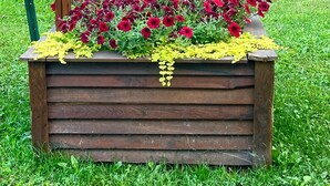 Een houten bord met de tekst 'SHALOM RETREAT' boven een bloembed met rode en gele bloemen.