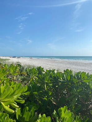 Beach nearby, sun loungers, beach towels