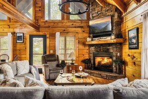 TV, fireplace, video games, DVD player