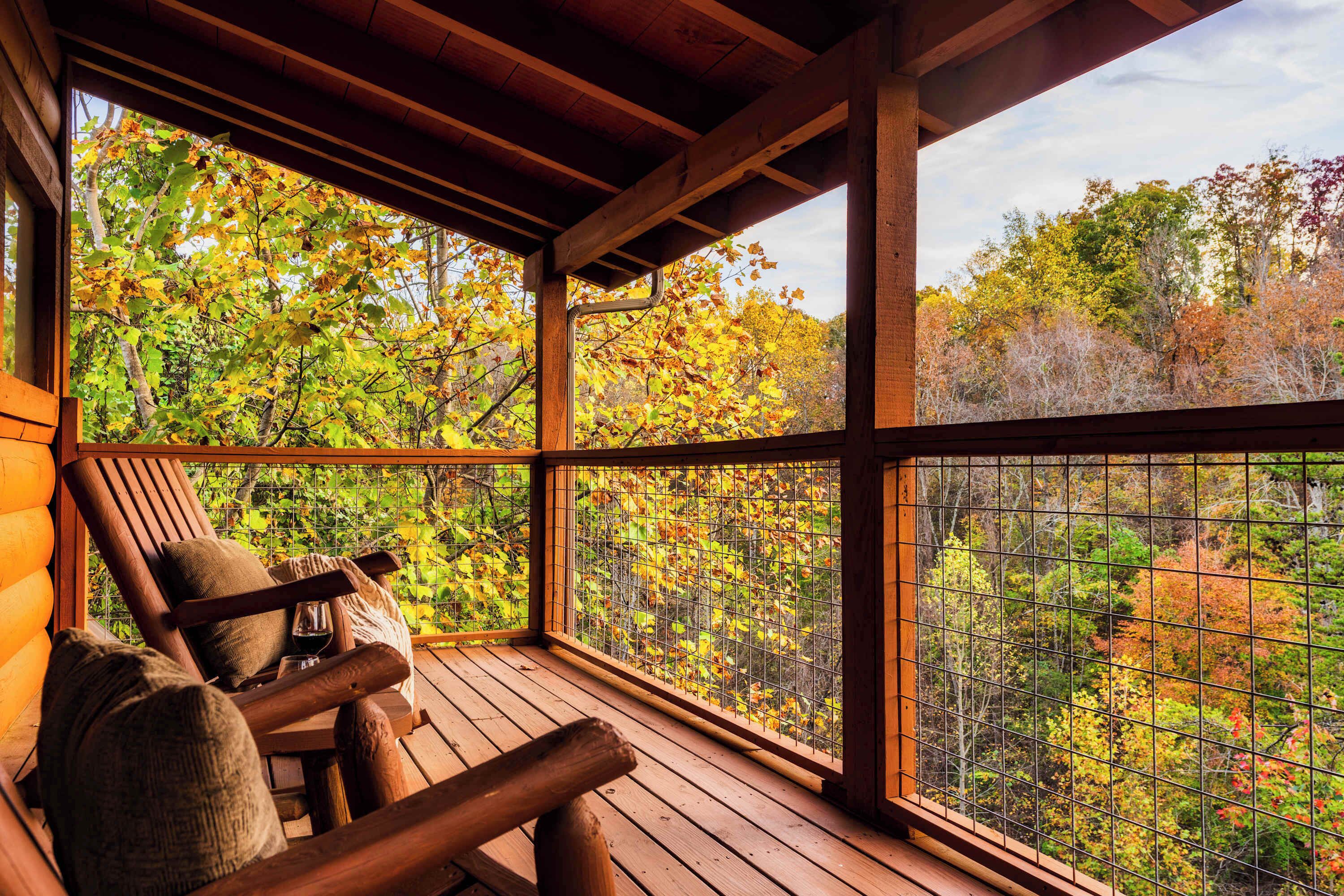 A wooden deck with a view of autumn foliage through a wire mesh window.