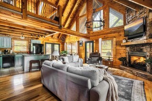 TV, fireplace, video games, DVD player