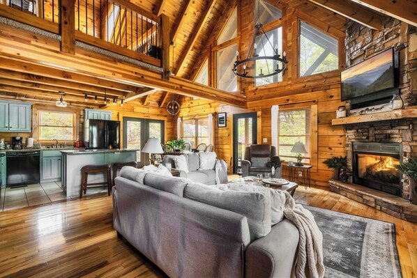 TV, fireplace, video games, DVD player