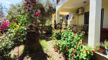 Deluxe Apartment | Terrace/patio