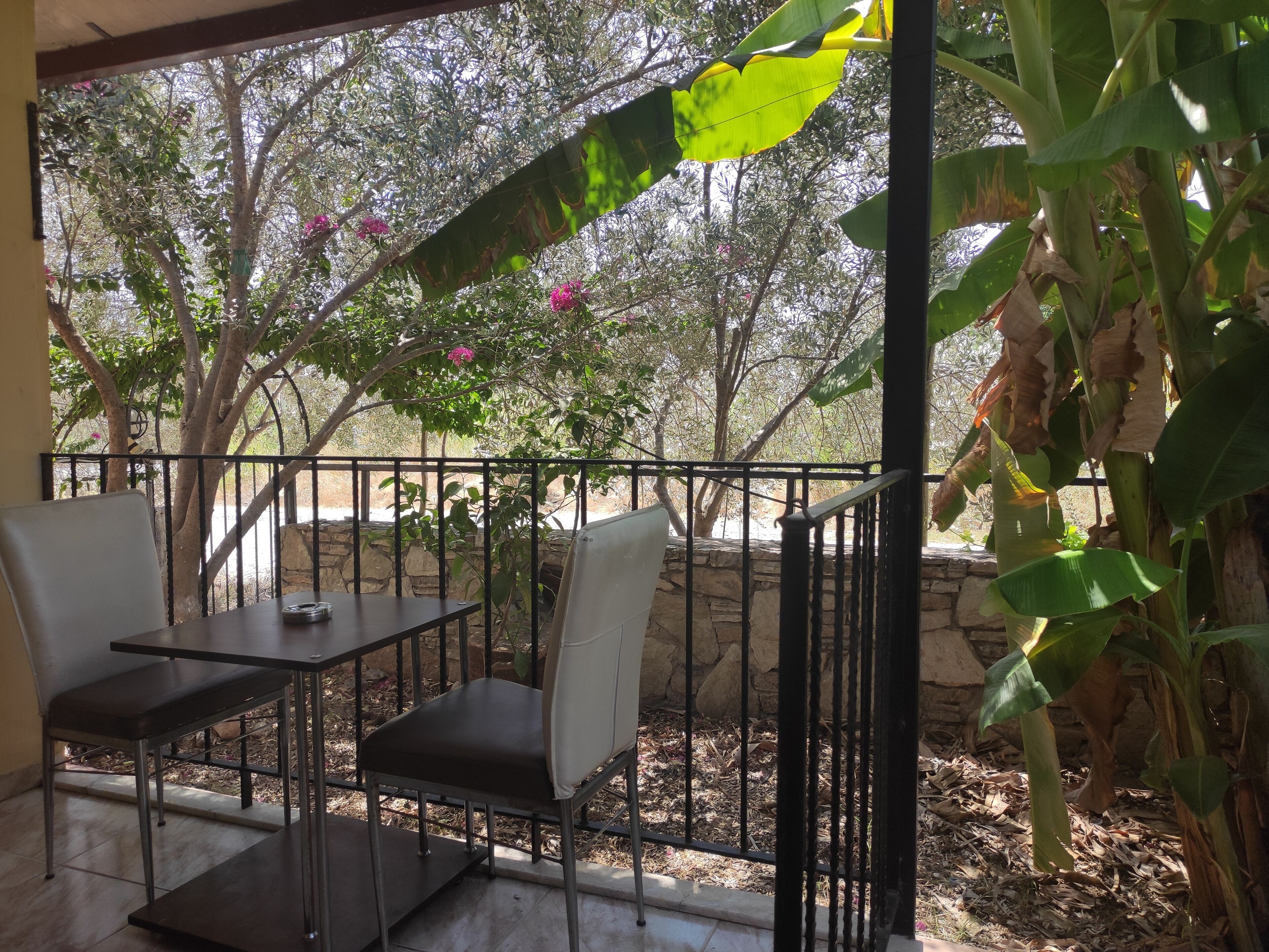 Foto - çileks apart otel