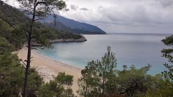 بالقرب من الشاطئ