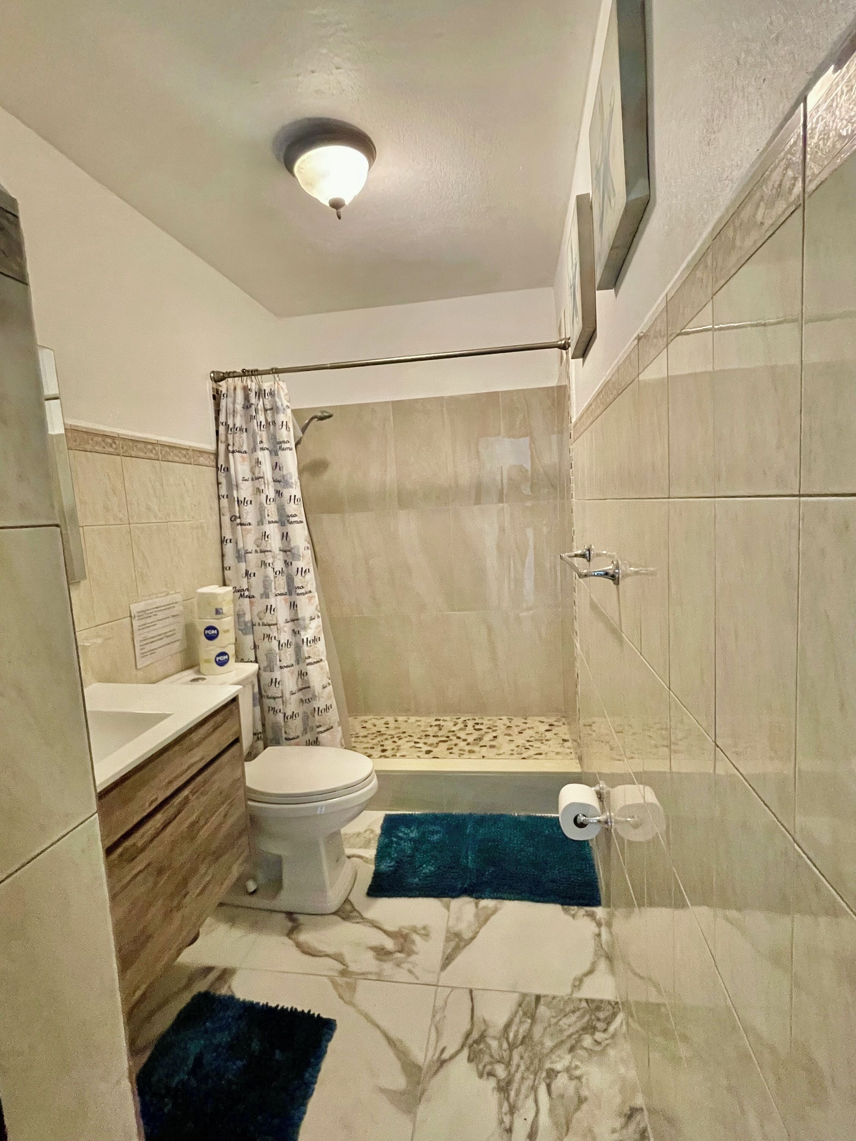 Ein Badezimmer mit Toilette, Dusche und Waschbecken.