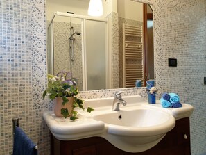 Regadera, secadora de cabello, bidet, toallas 