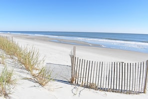 On the beach
