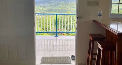 Hilltop Studio with ocean views, free daily breakfast and airport pickup.