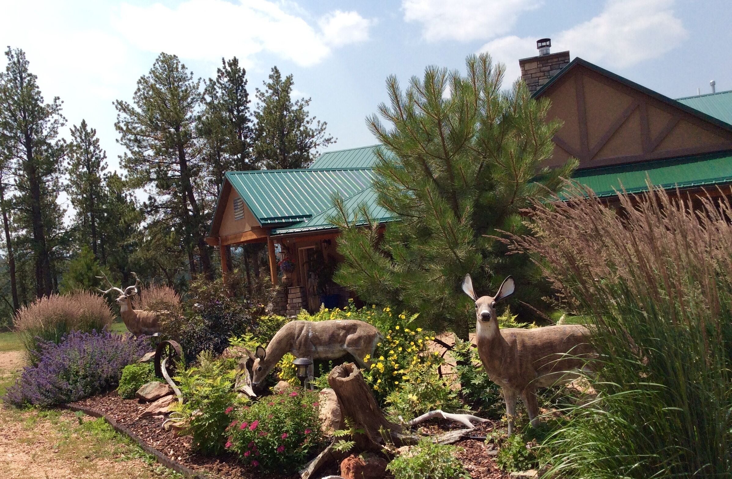 Terrein van de accommodatie