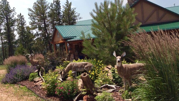 A rustic cabin with a green roof, surrounded by a garden with deer statues and various plants. - Forest Estate Guest Quarters-Seclusion- Just Minutes from Town (Woodland Park)
