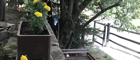 施設の敷地
